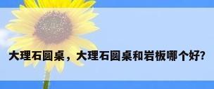 大理石圆桌，大理石圆桌和岩板哪个好？
