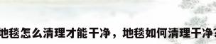 地毯怎么清理才能干净，地毯如何清理干净？