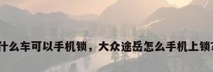 什么车可以手机锁，大众途岳怎么手机上锁？