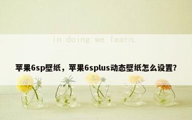苹果6sp壁纸，苹果6splus动态壁纸怎么设置？