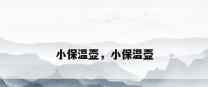 小保温壶，小保温壶