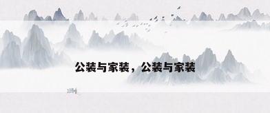 公装与家装，公装与家装