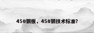 45#钢板，45#钢技术标准？