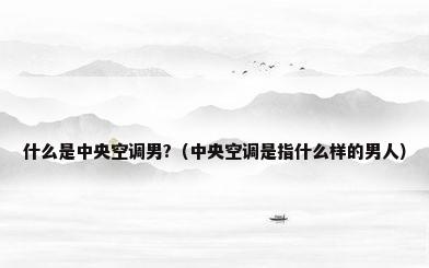 什么是中央空调男?（中央空调是指什么样的男人）
