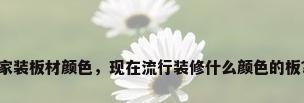 家装板材颜色，现在流行装修什么颜色的板？