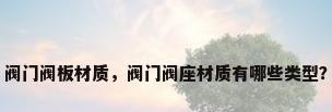 阀门阀板材质，阀门阀座材质有哪些类型？