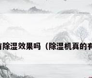 除湿机真的有除湿效果吗（除湿机真的有除湿效果吗）