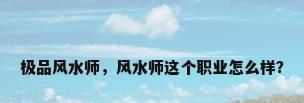 极品风水师，风水师这个职业怎么样？