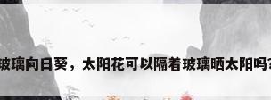 玻璃向日葵，太阳花可以隔着玻璃晒太阳吗？