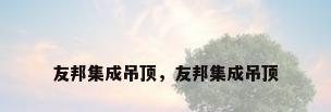 友邦集成吊顶，友邦集成吊顶