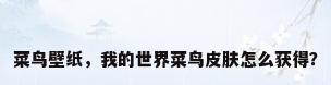 菜鸟壁纸，我的世界菜鸟皮肤怎么获得？