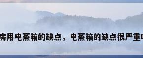 厨房用电蒸箱的缺点，电蒸箱的缺点很严重吗？