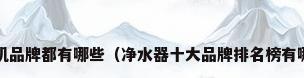 净水机品牌都有哪些（净水器十大品牌排名榜有哪些?）