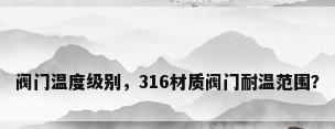 阀门温度级别，316材质阀门耐温范围？