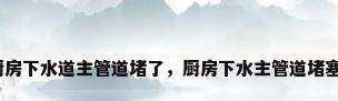 厨房下水道主管道堵了，厨房下水主管道堵塞？