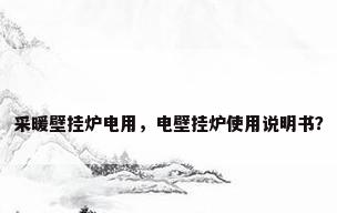 采暖壁挂炉电用，电壁挂炉使用说明书？