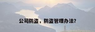 公司防盗，防盗管理办法？
