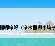 净水器哪家好（净水器哪个牌子好?）