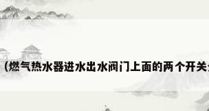 热水器水阀怎么开?（燃气热水器进水出水阀门上面的两个开关分别是干嘛的?如图）