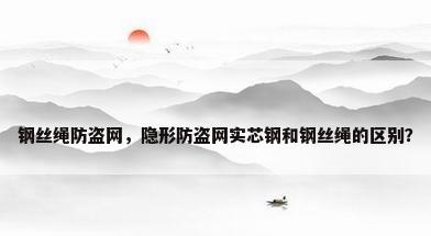 钢丝绳防盗网，隐形防盗网实芯钢和钢丝绳的区别？