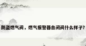 防盗燃气阀，燃气报警器自闭阀什么样子？