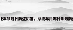 摩托车锁哪种防盗厉害，摩托车用哪种锁最防盗？
