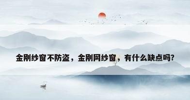 金刚纱窗不防盗，金刚网纱窗，有什么缺点吗？