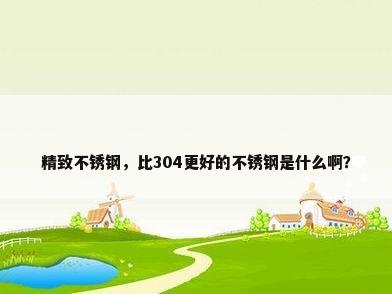 精致不锈钢，比304更好的不锈钢是什么啊？
