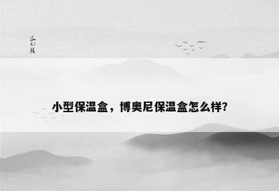 小型保温盒，博奥尼保温盒怎么样？