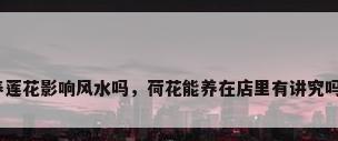 养莲花影响风水吗，荷花能养在店里有讲究吗？