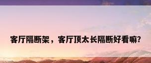 客厅隔断架，客厅顶太长隔断好看嘛？