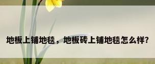 地板上铺地毯，地板砖上铺地毯怎么样？