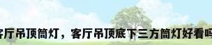 客厅吊顶筒灯，客厅吊顶底下三方筒灯好看吗？