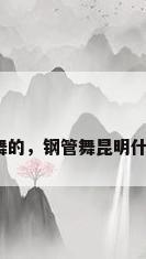 哪里有教钢管舞的，钢管舞昆明什么地方教的好？