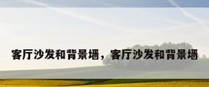 客厅沙发和背景墙，客厅沙发和背景墙