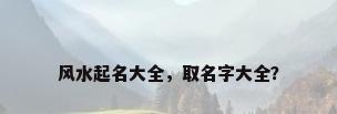 风水起名大全，取名字大全？