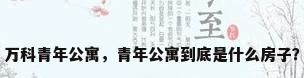 万科青年公寓，青年公寓到底是什么房子？