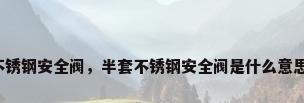 不锈钢安全阀，半套不锈钢安全阀是什么意思？
