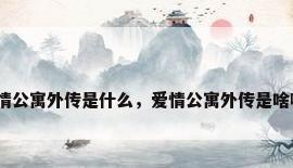 爱情公寓外传是什么，爱情公寓外传是啥啊？