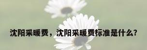沈阳采暖费，沈阳采暖费标准是什么？