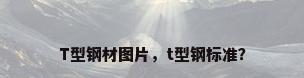 T型钢材图片，t型钢标准？