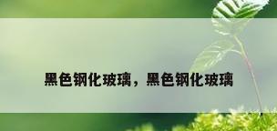 黑色钢化玻璃，黑色钢化玻璃