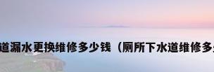 下水道漏水更换维修多少钱（厕所下水道维修多少钱）