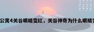 爱情公寓4关谷眼睛变红，关谷神奇为什么眼睛变红？