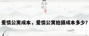 爱情公寓成本，爱情公寓拍摄成本多少？