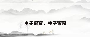 电子窗帘，电子窗帘