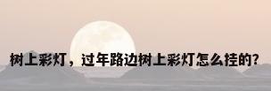 树上彩灯，过年路边树上彩灯怎么挂的？
