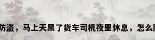 货车怎样防盗，马上天黑了货车司机夜里休息，怎么防偷车油？