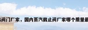 蒸汽阀门厂家，国内蒸汽截止阀厂家哪个质量最好？