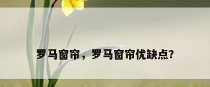 罗马窗帘，罗马窗帘优缺点？